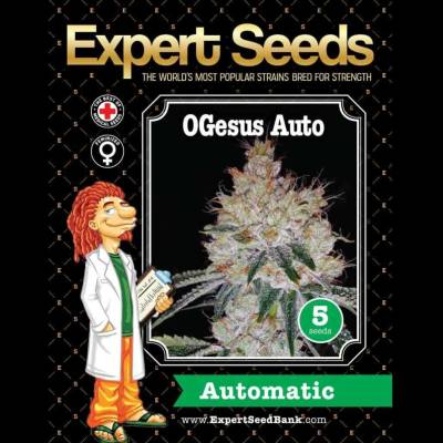 Expert Seeds OGesus AUTO semena neobsahují THC 3 ks