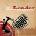 Leader - Leader CD
