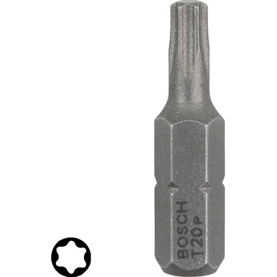 Bosch T20 25 mm 25 ks 2607002799