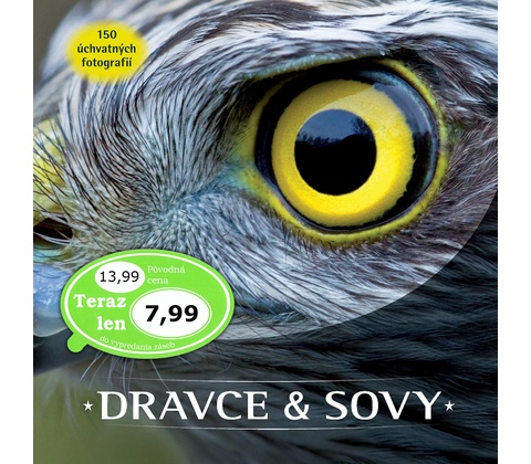 Dravce a sovy