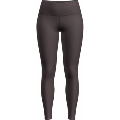 Icebreaker Women`s 200 Oasis Leggings