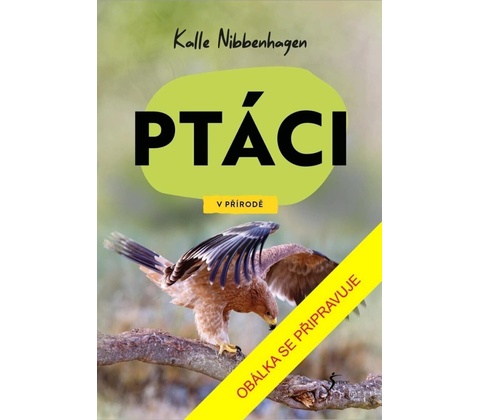 V přírodě: Ptáci