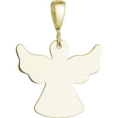 Evolution Group Pozlacený stříbrný přívěsek anděl 64091