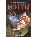 Motýli