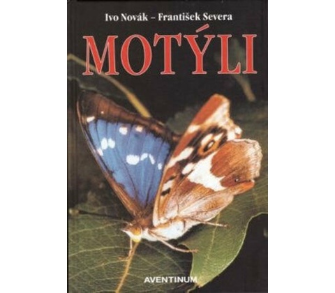 Motýli