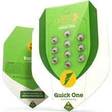 Royal Queen Seeds Quick One semena neobsahují THC 3 ks