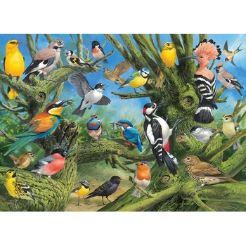 Image 1 of EUROGRAPHICS - Puzzle Francis - Garden Birds - 1 000 piese