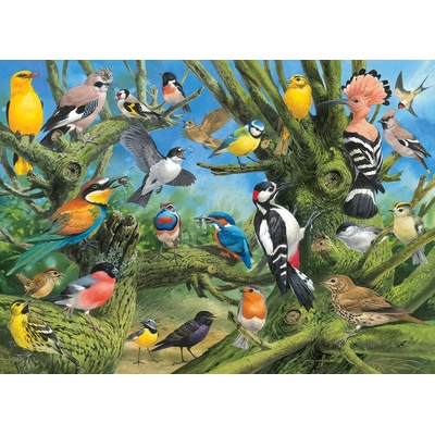 EUROGRAPHICS - Puzzle Francis - Garden Birds - 1 000 piese