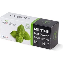 Véritable Lingot Marocká máta - BIO