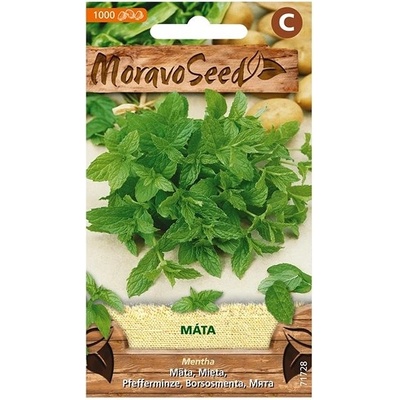 MORAVOSEED CZ Máta peprná