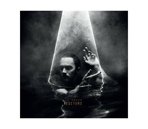 EDITORS: IN DREAM LP