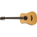 Taylor BT1