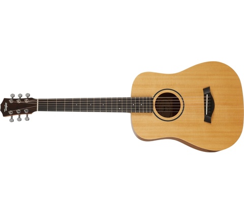 Taylor BT1