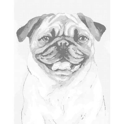 ZUTY Bodkovanie - HNEDÝ MOPSÍK Rámovanie: vypnuté plátno na rám, Rozmer: 40x50 cm