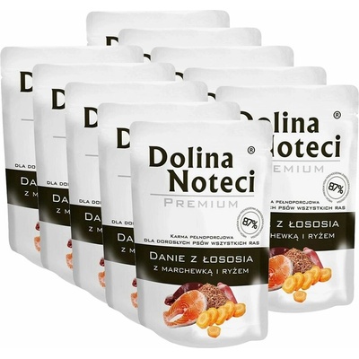 Dolina Noteci Premium Salmon Stew with Carrot and Brown Rice 10 x 300 g
