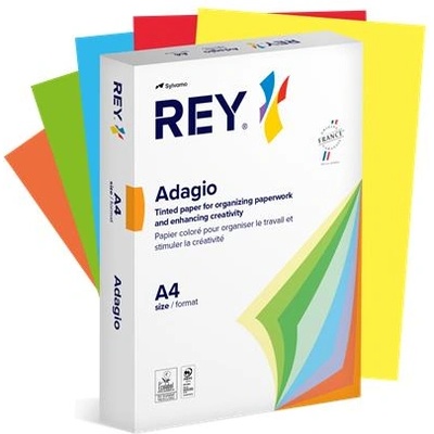 REY Копирна хартия, цветна, A4, 80 g, 5х100 листа, REY "Adagio", интензивен микс RYADA080X911/924 PANA INT (RYADA080X911/924 PANA INT)