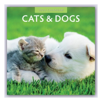 Cats & Dogs Katzen & Hunde 16-Monats 2024