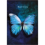 KALENDART Calendart 404 намерени бележки C167N A5 тетрадка за оцветяване Butterfly Blue 26C167N-001 (26C167N-001)