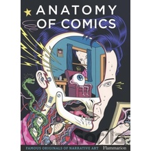 Flammarion Anatomy of Comics: Famous Originals of Narrative Art
