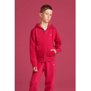 Gant Shield Full Zip Hoodie ružová