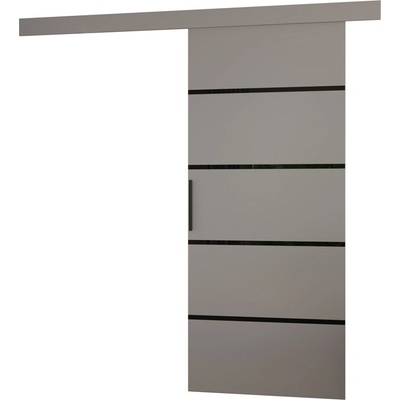 Sconto Posuvné dvere MUSCHU 96 sivá/čierna 96x205 cm