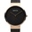 Bering 14531-166