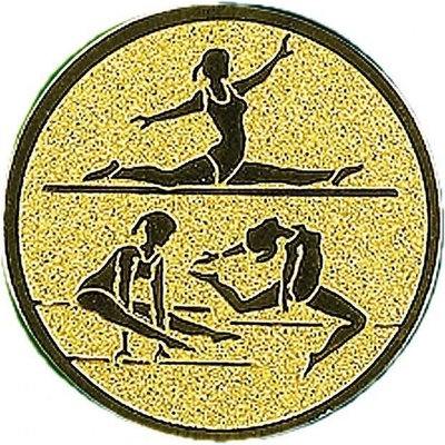 0312 Emblém gymnastika