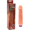 LyBaile Penis Vibe
