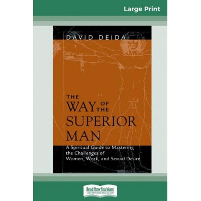 Way of the Superior Man (16pt Large Print Edition) | David Deida