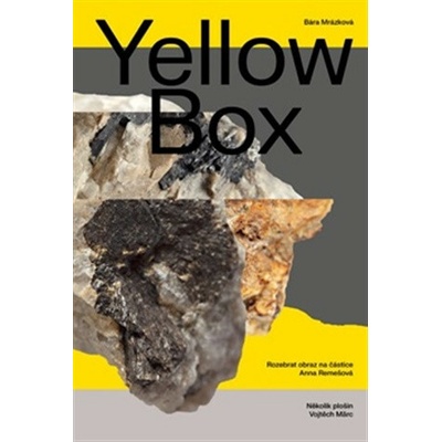Yellow Box - Bára Mrázková