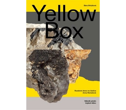 Yellow Box - Bára Mrázková