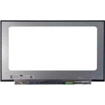 Display N173HCE-G33 REV.B1 LCD 17.3" 1920x1080 WUXGA Full HD LED 40pin Slim 144Hz matný povrch