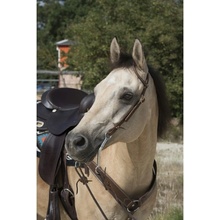 WESTRIDE Westernová uzdečka jednouška 1 Oreille hnědá oříšková