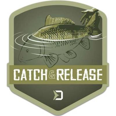 Nálepka Delphin CATCH and RELEASE