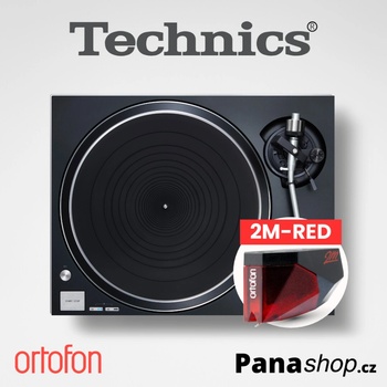Technics SL-100CEG-K