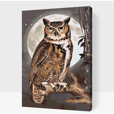 Vymalujsisam.cz Malování podle čísel Moudrá sova Velikost 40 x 60 cm Rámování Na kartonové desce
