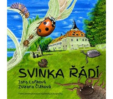 Sviňka řádí
