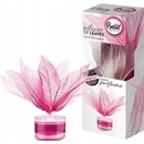 Brait LISTY ROMANTICKÝ RUBOVÝ OSVIEŽOVAČ 50 ml