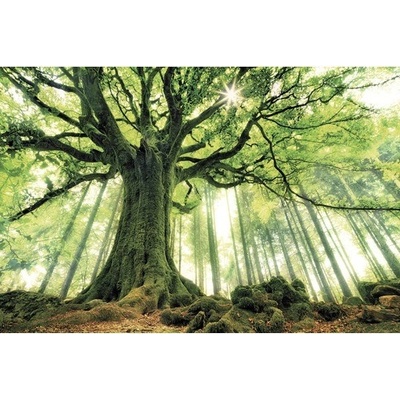 Obraz na plátně Green Giant 150x100