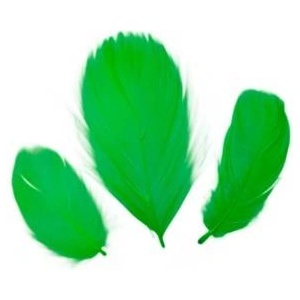 TITANUM Fluff feathers 16g green