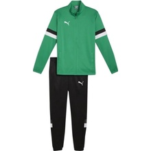 Puma Team Rise M tracksuit 658653 05 193699