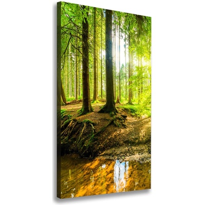 Vertikálny foto obraz na plátne Slnko v lese 50x100 cm
