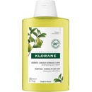 Šampony Klorane Cédrat šampon pro normální vlasy Shampoo with Citrus Pulp 200 ml