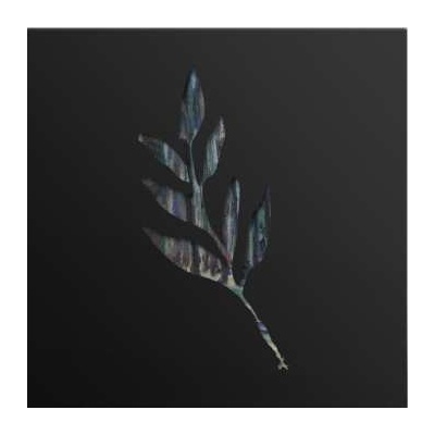 The Album Leaf - An Orchestrated Rise To Fall CLR LP