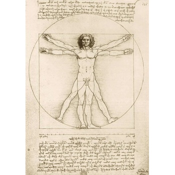 Image 1 of Bluebird Puzzle - Puzzle Leonardo Da Vinci - The Vitruvian Man, 1490 - 1 000 piese