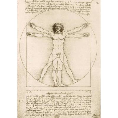 Bluebird Puzzle - Puzzle Leonardo Da Vinci - The Vitruvian Man, 1490 - 1 000 piese