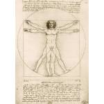 Bluebird Puzzle - Puzzle Leonardo Da Vinci - The Vitruvian Man, 1490 - 1 000 piese