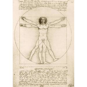 Bluebird Puzzle - Puzzle Leonardo Da Vinci - The Vitruvian Man, 1490 - 1 000 piese