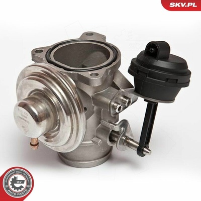 AGR-Ventil ESEN SKV 14SKV026