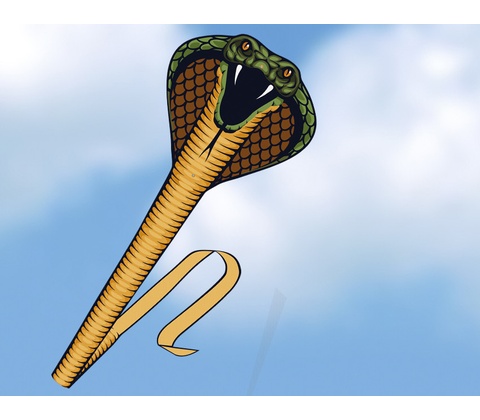 Günther Cobra 3D